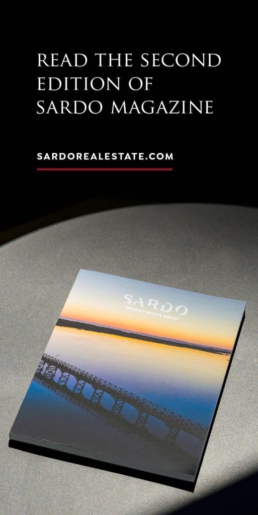 SARDO Magazine 2026 Link